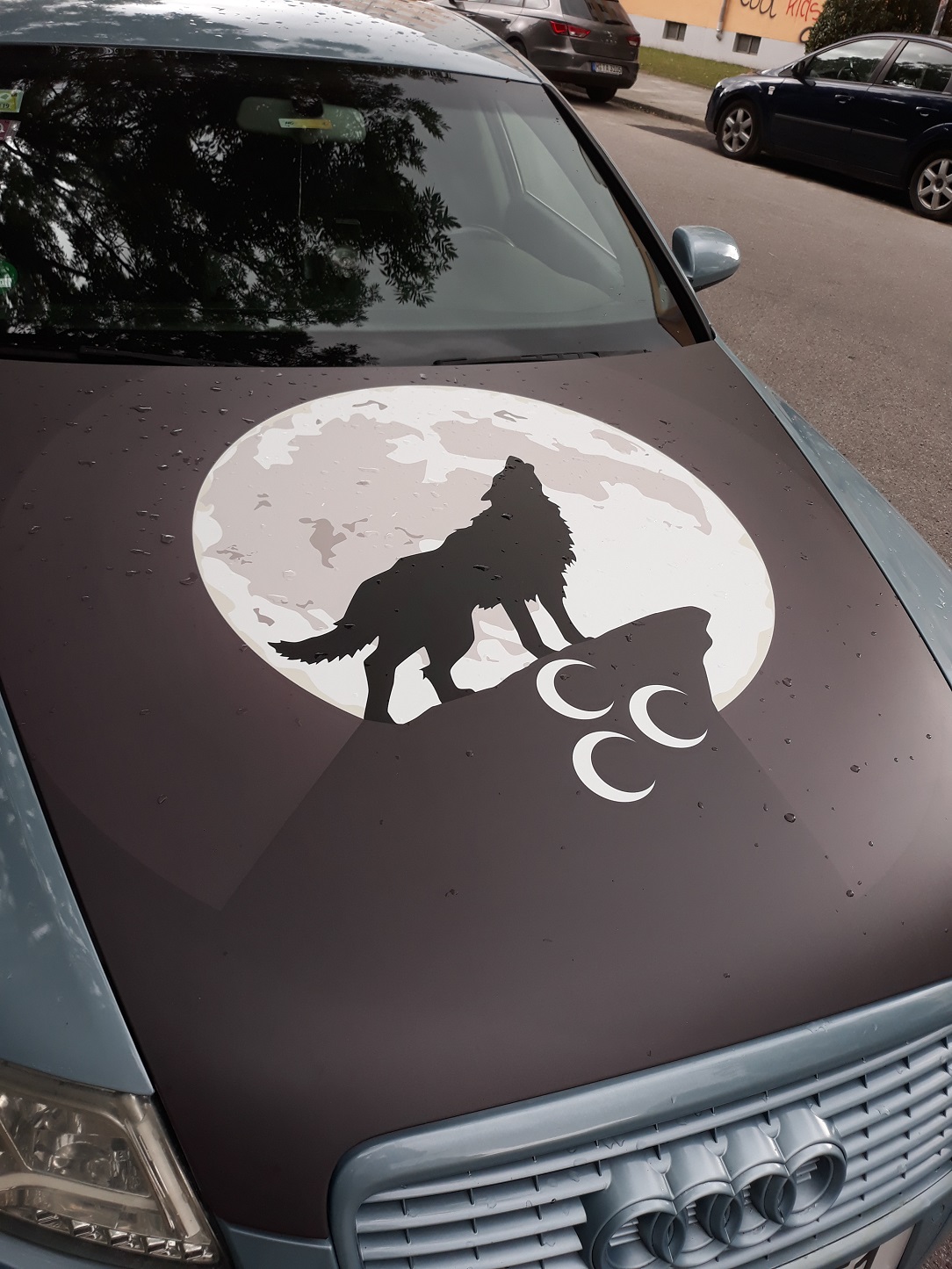 Symbol der Grauen Wölfe auf einem Auto in München